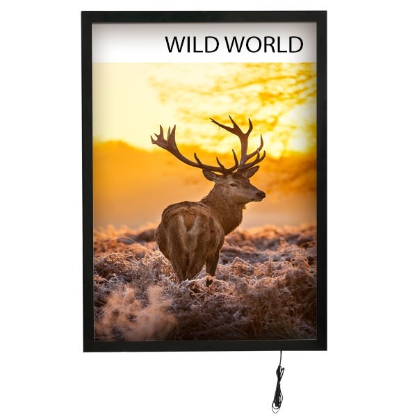 Magnetic Frame LED Back Lit, 20" X 30", Black