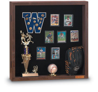 24 x 24" Standard 4" Enclosed Display Case