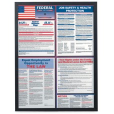22 x 28" Changeable Poster Frame