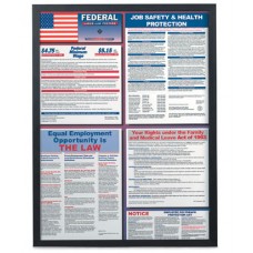 22 x 28" Changeable Poster Frame (Plexiglass Option)