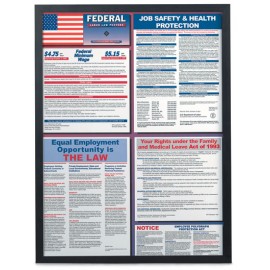 22 x 14" Changeable Poster Frame